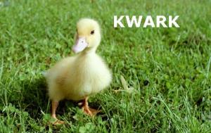 kwark