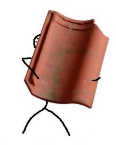 dakpan