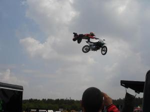 graspop