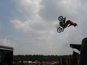 graspop