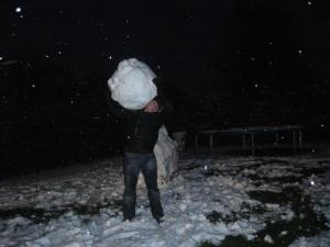 sneeuwbal