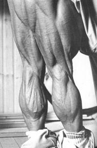 Body Builder benen
