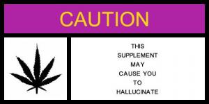 supplement