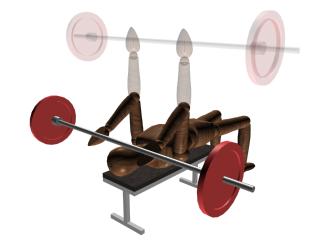 tricep-barbell.jpg tricep-barbell.jpg